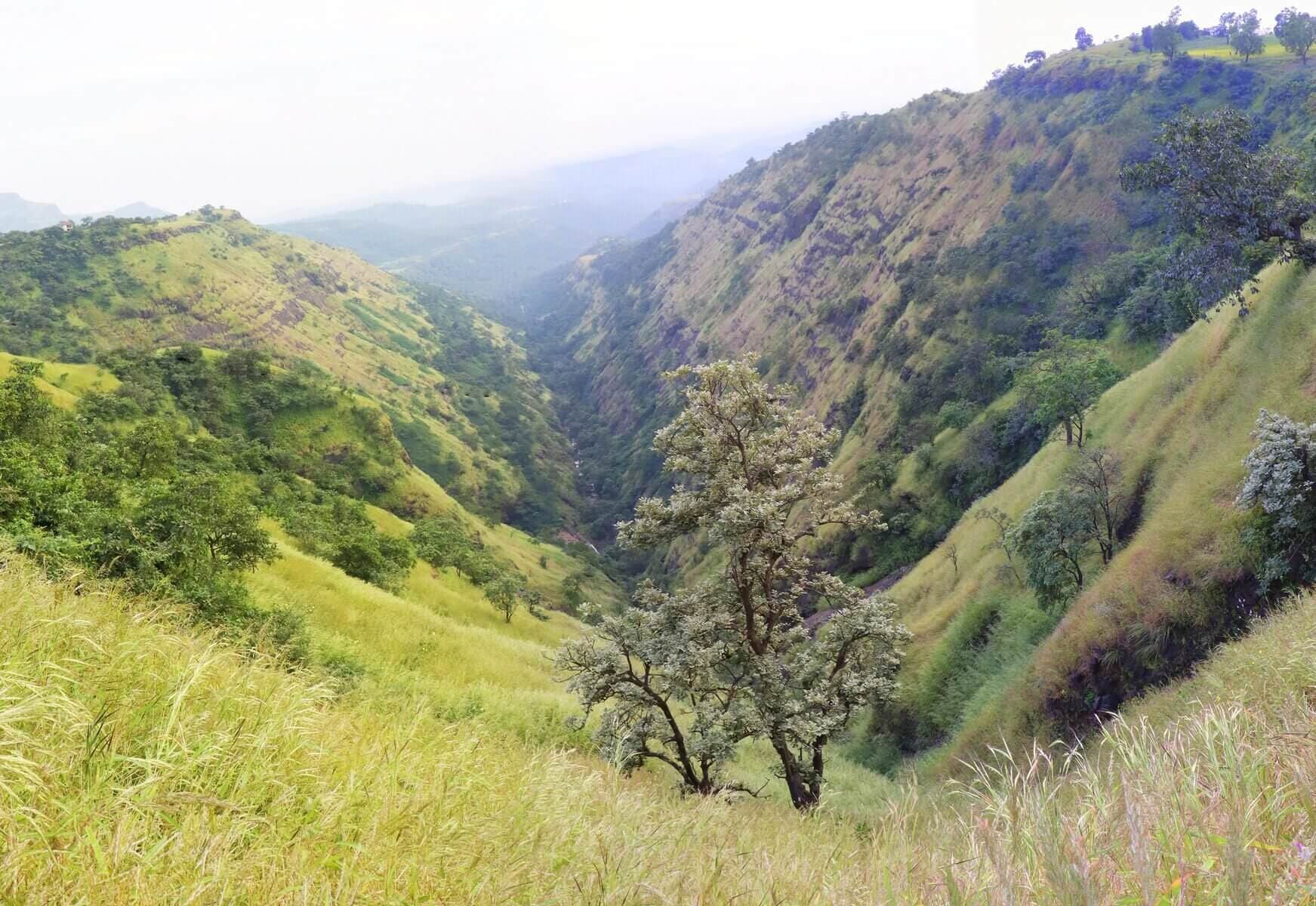 Wide valley