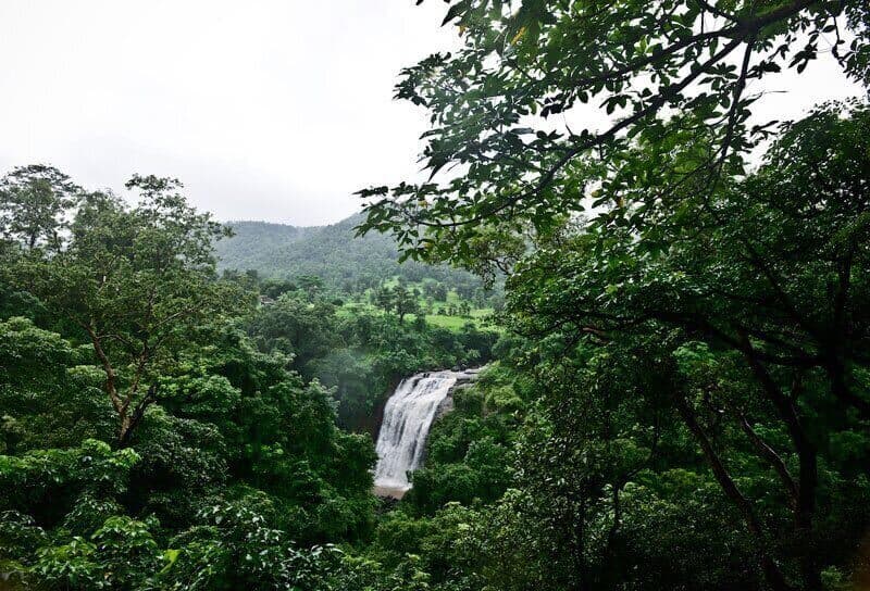 Natural surroundings at Manas Resort Igatpuri