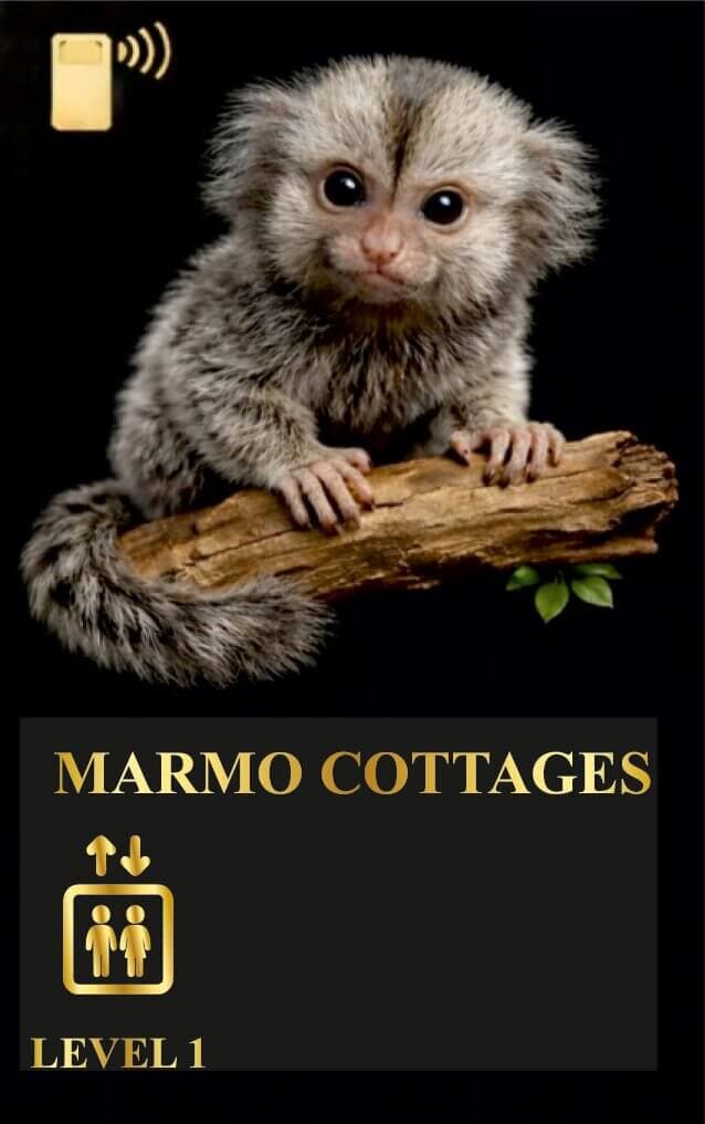 Marmo Cottage Level 1 – Premium Cottages in Igatpuri for a Relaxing Stay