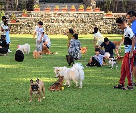 Off-leash park