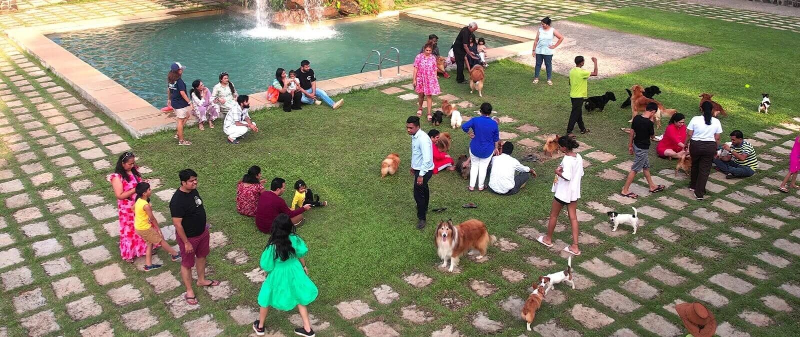 Pet therapy grove