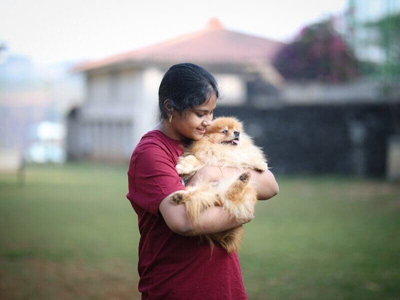 Petting Zoo - Cuddle time with Pomeranian