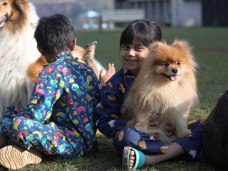 Petting Zoo - Kids enjoying time with dogs