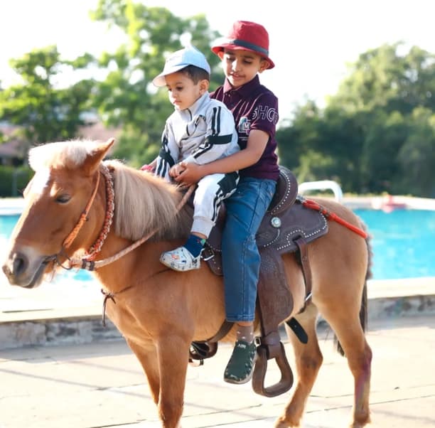 Petting Zoo - Pony rides for children