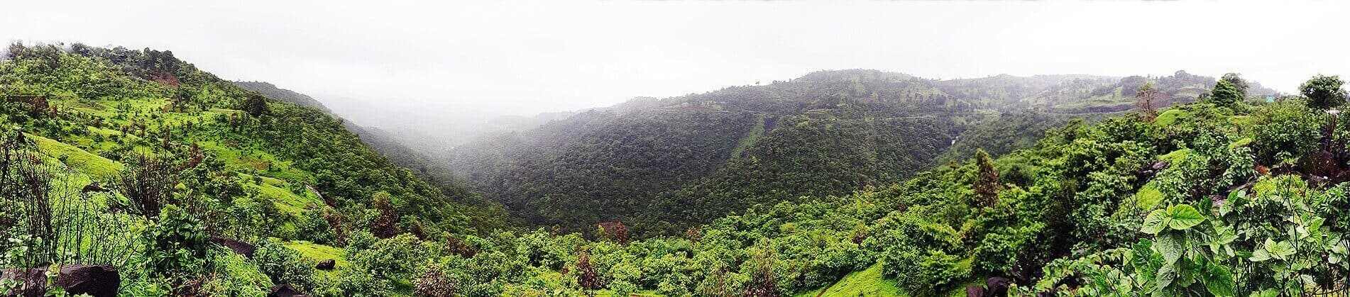 Lush green mountain valley during monsoon